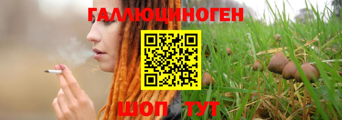 Галлюциногенные грибы MAGIC MUSHROOMS  Вход с VPN  Галлюциногенные грибы ЛСД  Коломна 
